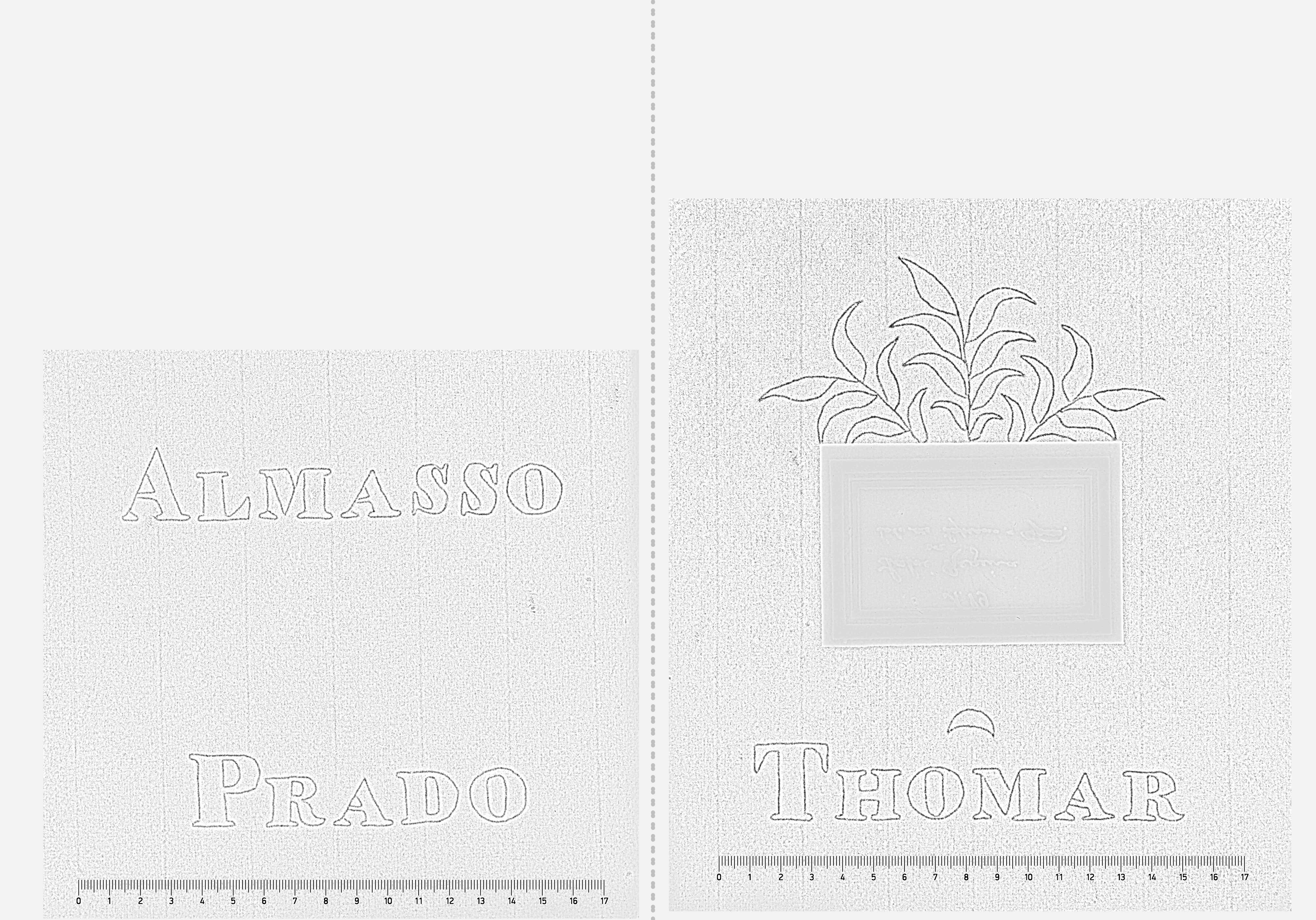 Sheet